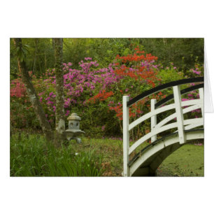 Cartão Estados Unidos; Carolina do Sul; Charleston;5