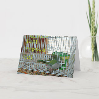 Cartão Estalado para fora