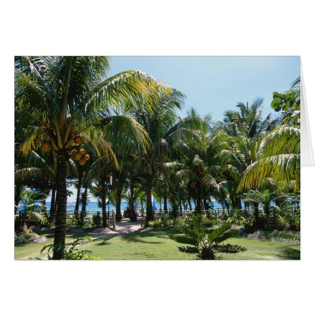 Cartão Estância de praia (Frente Horizontal)