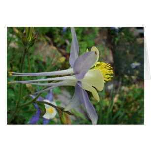 Cartão estância di vedere