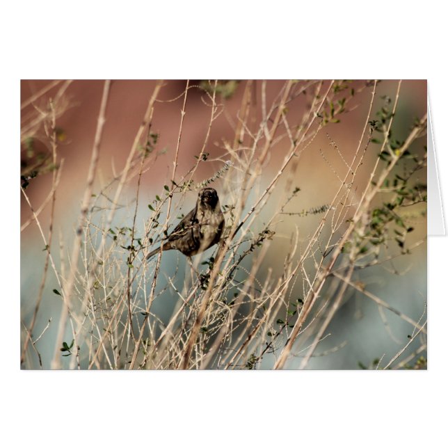 Cartão Estás a olhar para mim? (Frente horizontal)