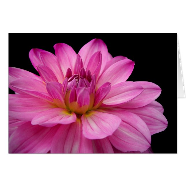 Cartão Estatueta da dália (Frente horizontal)