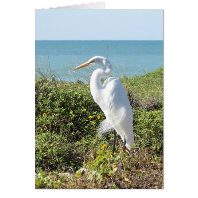 Cartão Estatuético Heron (Frente)