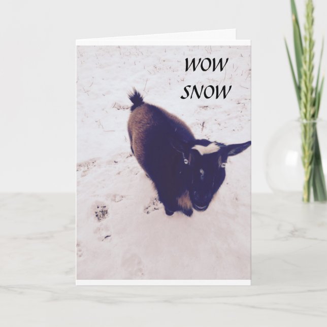 CARTÃO ESTE CABELO É TÃO MIÚDO NO SEU ANIVERSÁRIO (Frente)