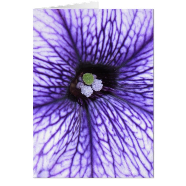 Cartão estigma (Frente)