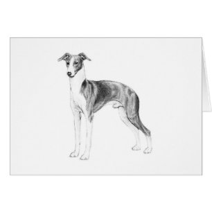 Cartão Estilo de Greyhound Italiano