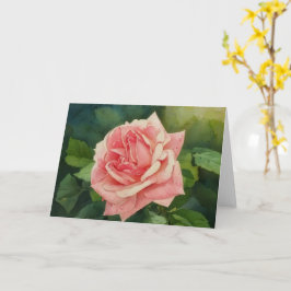 Cartão Estilo de Vintage Pachy Rosa Rosa Pink Arte Jardin