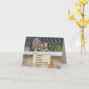 CARTÃO ESTIRPE DE GATO E CHUVA/ROTINA DE MANHÃ