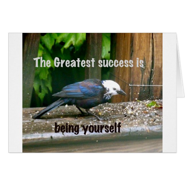 Cartão estorninho de cabeça branca (Frente Horizontal)