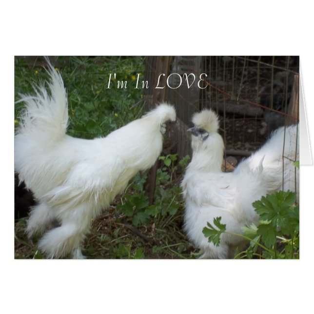 Cartão Estou apaixonado (Frente Horizontal)