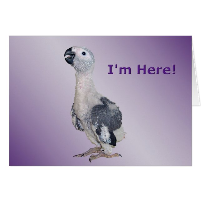 Cartão Estou aqui (Frente Horizontal)