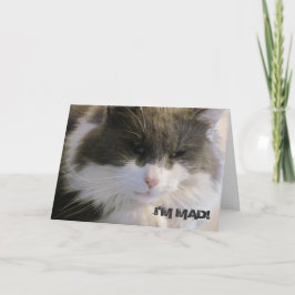 Cartão Estou louco! Que Perdi Seu Gato De Aniversário