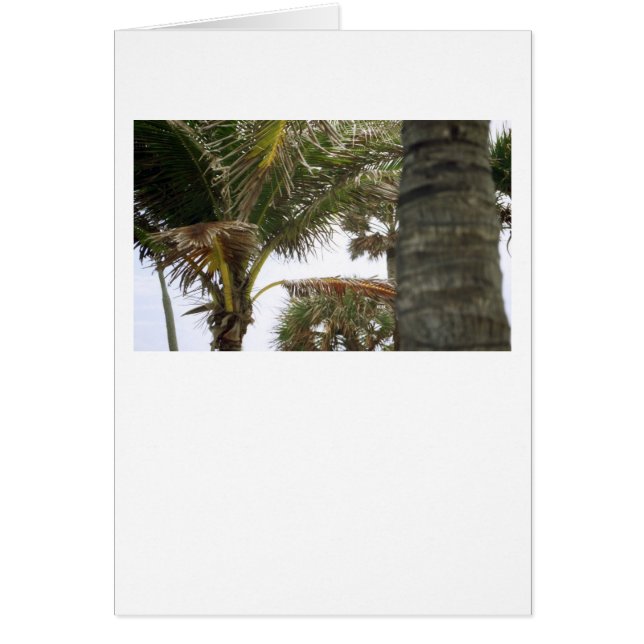 Cartão Estou na Ilha Time! (Frente)