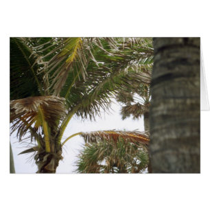 Cartão Estou na Ilha Time!