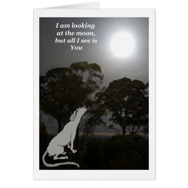Cartão Estou olhando para a lua (Frente)