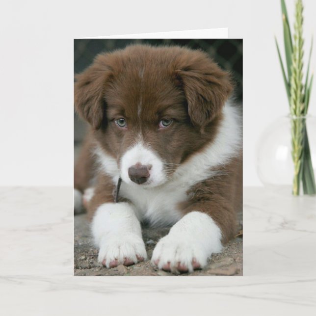 CARTÃO ESTOU "SÉRIO" SIM ESTOU NO SEU ANIVERSÁRIO! (Frente)