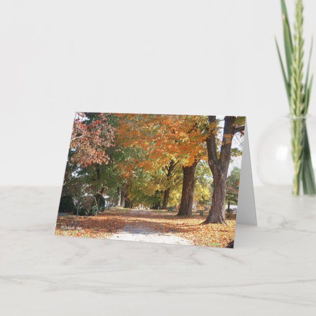 Cartão Estrada da glória (Frente)