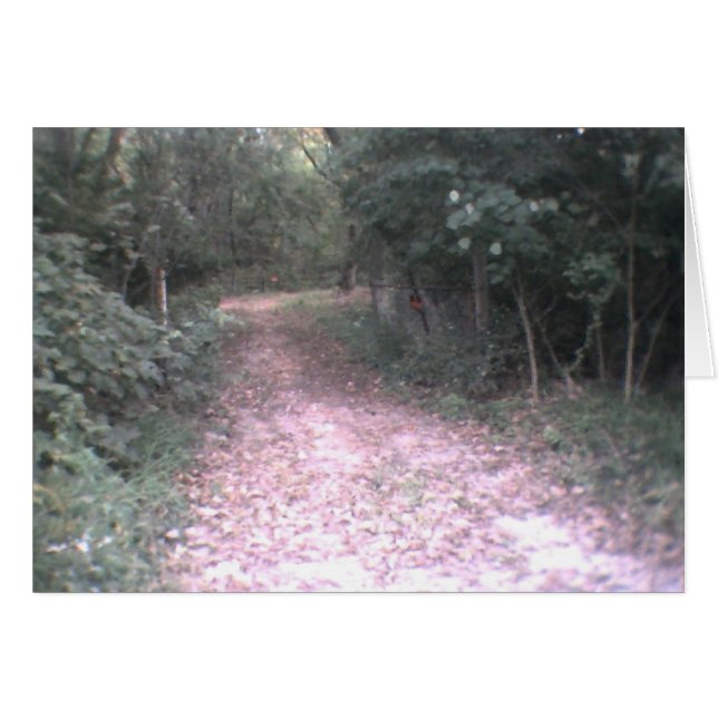 Cartão estrada da vida (Frente Horizontal)