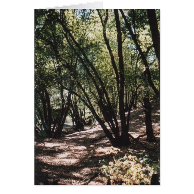 Cartão Estrada de Creek Seca (Frente)