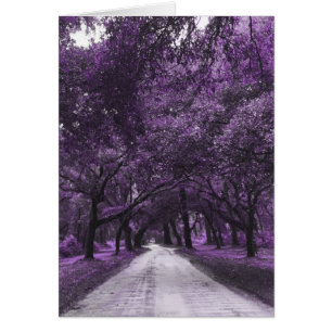 Cartão estrada de segurança