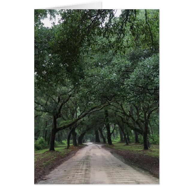Cartão estrada de segurança (Frente)