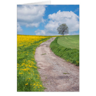 Cartão Estrada e Árvore da Camada