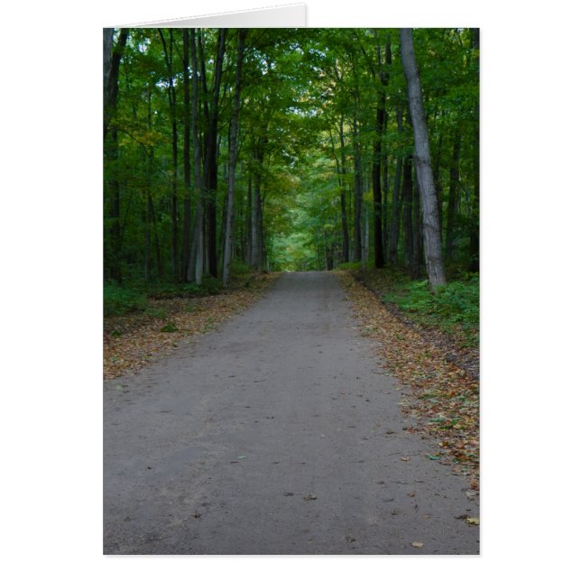 Cartão Estrada na floresta. (Frente)