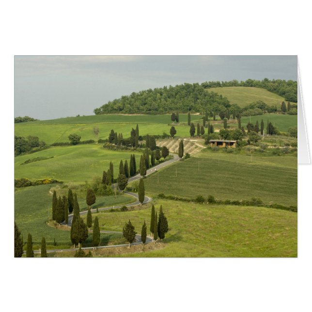 Cartão Estrada: Pienza — Montepulciano, (Frente Horizontal)