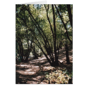 Cartão Estrada seca da angra