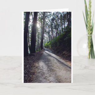 Cartão Estrada secundária através da floresta
