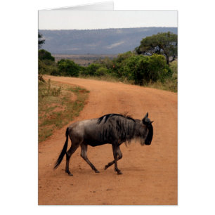 Cartão estrada selvagem