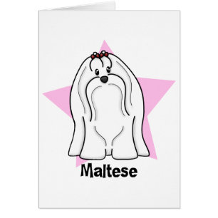 Cartão Estrela de Kawaii maltesa