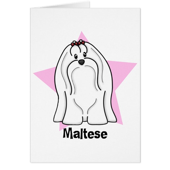 Cartão Estrela de Kawaii maltesa (Frente)