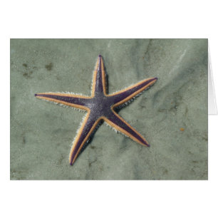Cartão Estrela de mar roxa da estrela do mar na praia