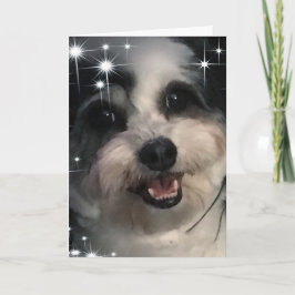 Cartão Estrelas do K-Cee Obrigado