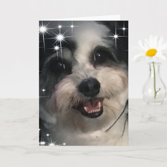 Cartão Estrelas do K-Cee Obrigado (Planta pequena)