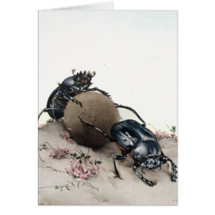 Cartão Estrume Bettle