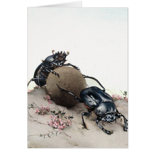 Cartão Estrume Bettle (Frente)