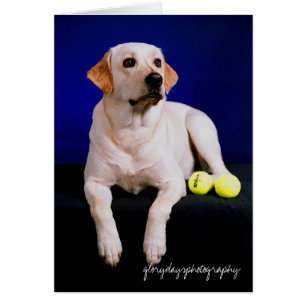 Cartão estúdio do marinheiro, glorydaysphotography