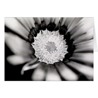 Cartão Estudo da flor