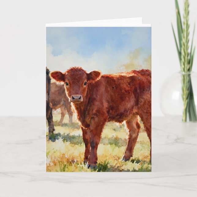 Cartão Estudo de Bezerro Angus Vermelho A em Aquarelas (Frente)