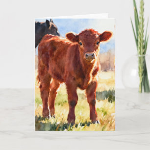 Cartão Estudo de Bezerro Angus Vermelho C em Aquarela
