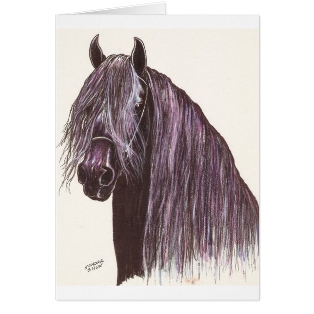 Cartão Estudo de Cavalo Frísia (Frente)