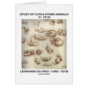 Cartão Estudo dos gatos & dos outros animais (Leonardo da