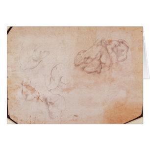 Cartão Estudo dos músculos