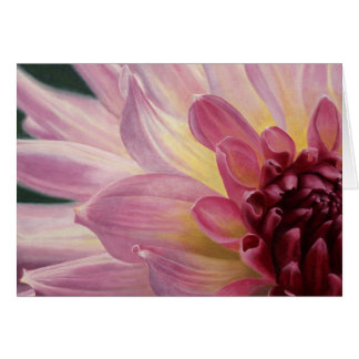 Cartão "Estudo em rosa"