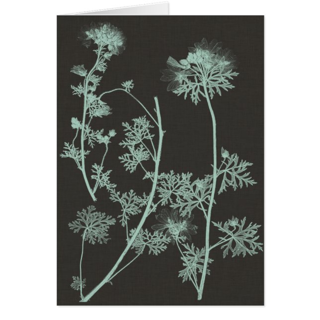 Cartão Estudo sobre a Natureza da Casa da Moeda e do Carv (Frente)