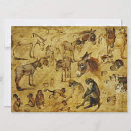 Cartão Estudos de Animais: Macacos, Macacos, Gatos e Cães