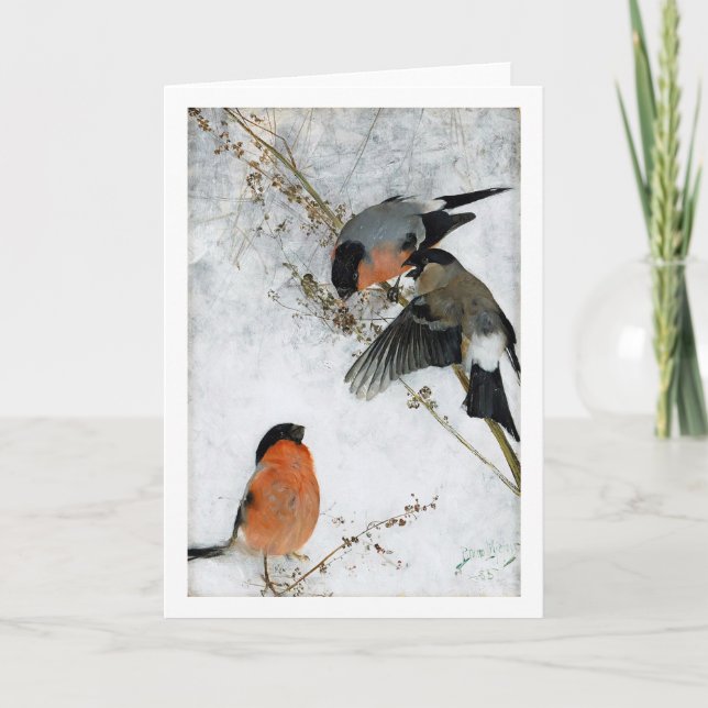 Cartão Estudos sobre a lebre selvagem (coelho), Bruno Lil (Frente)