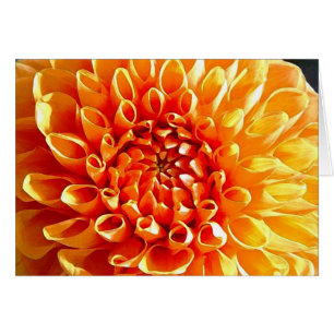 Cartão Eu Adore dálias, meu caro querido